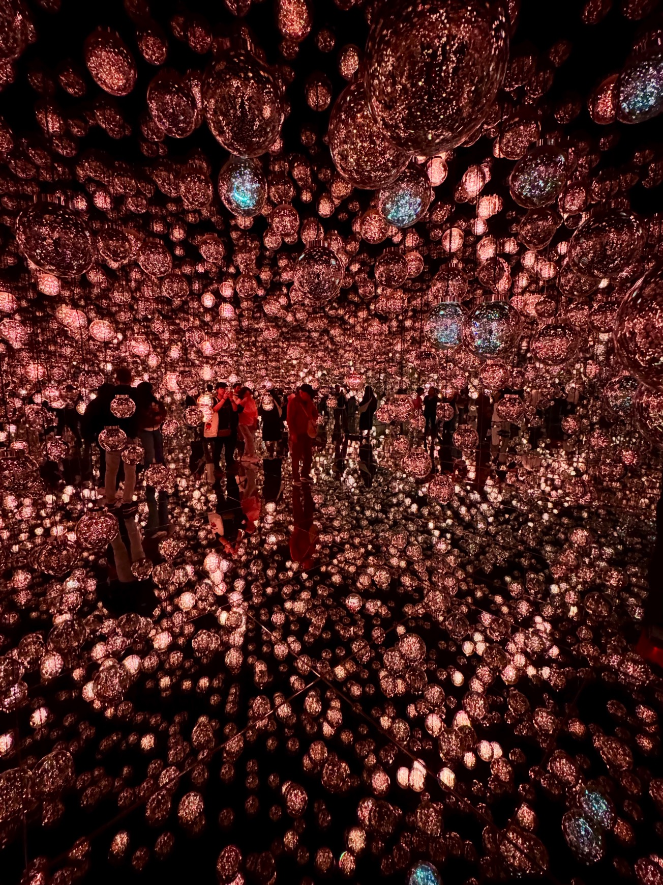 visit-3-teamlab.jpeg