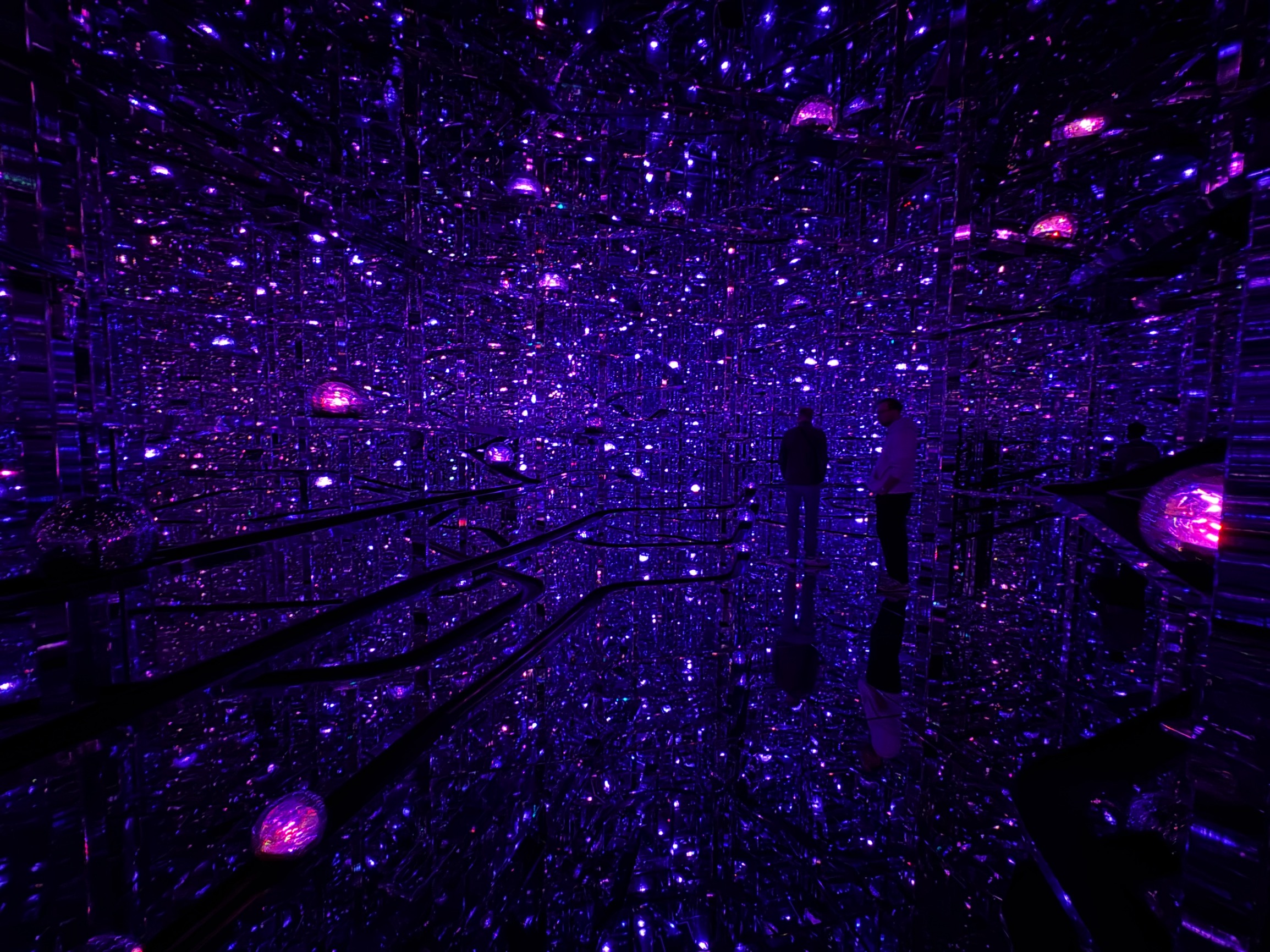 visit-4-teamlab.jpeg